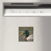 Mallard Face Magneet (Insitu (Vaatwasser))