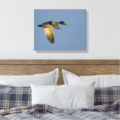 Mallard Flying in Open Sky Wrapped Canvas Print (Insitu (Slaapkamer))