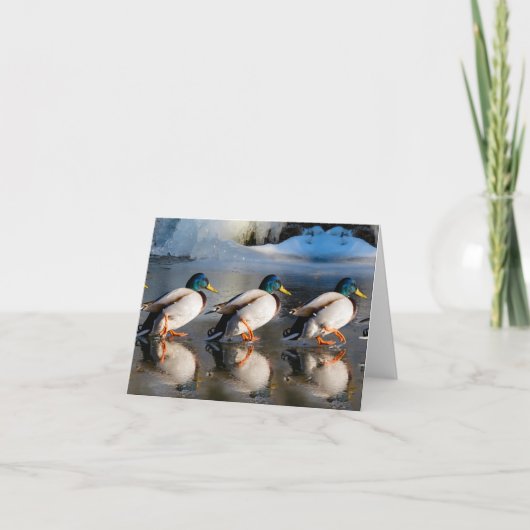 MALLARD Gevouwen Note Kaart IN DE WINTER (Voorkant)