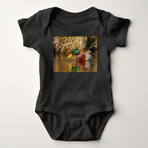 Mallard, gezeten in water romper
