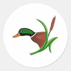 Mallard Head Ronde Sticker