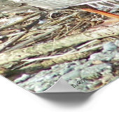 Mallard-hen Monroe Poster (Hoek)