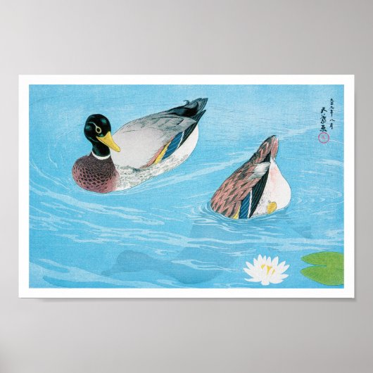 Mallard in de Pond, Goyō Hashiguchi Poster (Voorkant)
