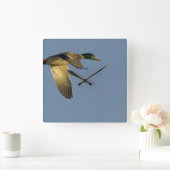 Mallard in Flight Square Wall Clock Vierkante Klok (Huis)