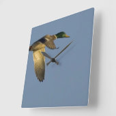 Mallard in Flight Square Wall Clock Vierkante Klok (Hoek)