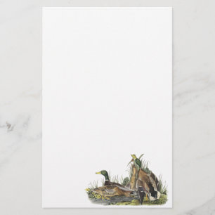 Mallard, John Audubon Briefpapier
