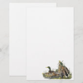 Mallard, John Audubon Briefpapier (Voorkant / Achterkant)