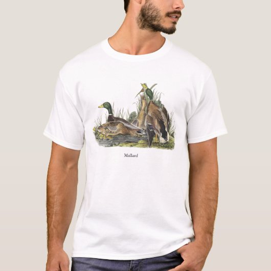 Mallard, John Audubon T-shirt (Voorkant)