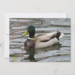 Mallard Kaart