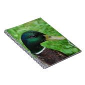 Mallard-laptop Notitieboek (Rechterzijde)
