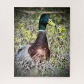 Mallard Legpuzzel (Verticaal)
