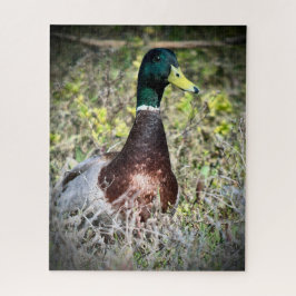 Mallard Legpuzzel