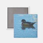 Mallard Magnet (Voorkant / Achterkant)