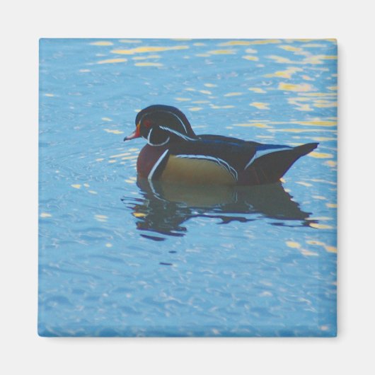 Mallard Magnet (Voorkant)