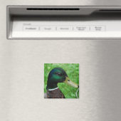 Mallard Magnet (Insitu (Vaatwasser))