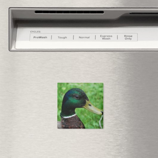 Mallard Magnet (Insitu (Vaatwasser))