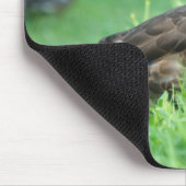 Mallard Mousepad Muismat (Hoek)