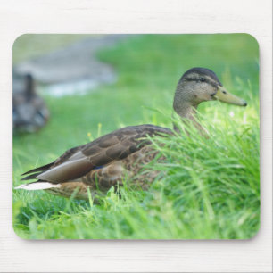 Mallard Mousepad Muismat