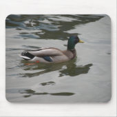 Mallard Mousepad Muismat (Voorkant)