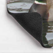 Mallard Muismat (Hoek)