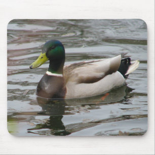 Mallard Muismat