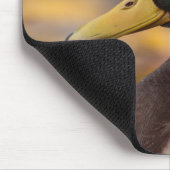 Mallard Muismat (Hoek)