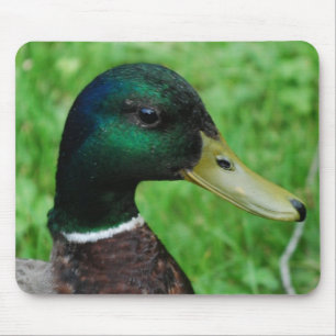 Mallard-Muismat Muismat