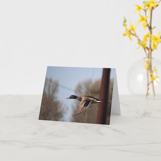 Mallard Note-Kaart Kaart (Gele Bloem)