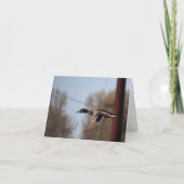 Mallard Note-Kaart Kaart (Voorkant)