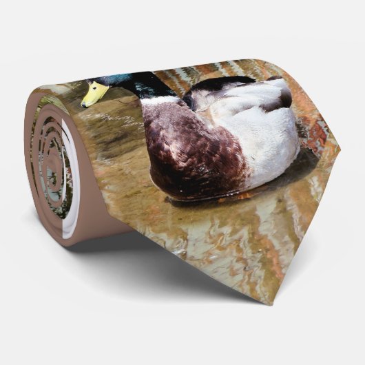 Mallard op het Stropdas water (Opgerold)