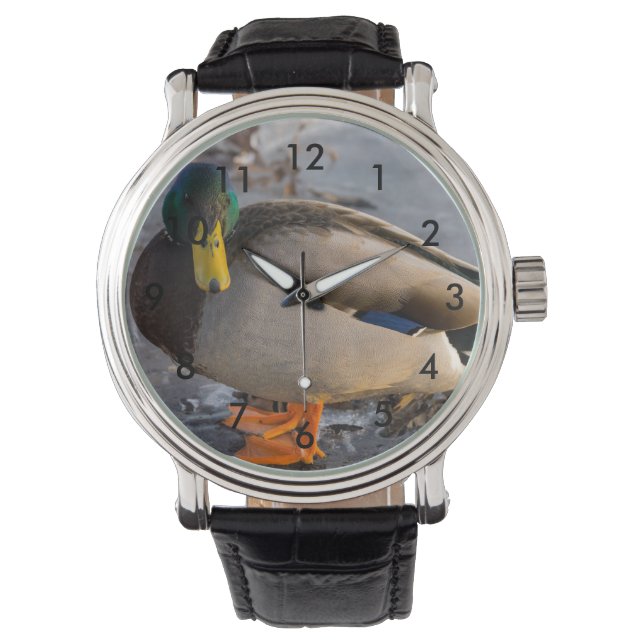 Mallard op ijs horloge (Voorkant)