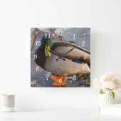 Mallard op ijsmuur klok (Huis)
