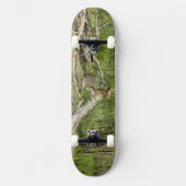 Mallard op Pond Skateboard (Voorkant)