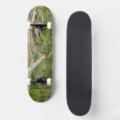 Mallard op Pond Skateboard (Voorkant)