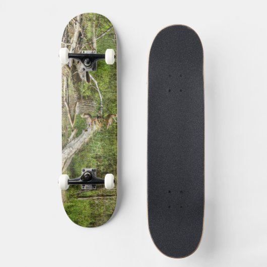 Mallard op Pond Skateboard (Voorkant)