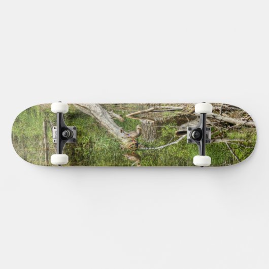 Mallard op Pond Skateboard (Horizontaal)