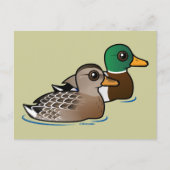 Mallard Pair Briefkaart (Voorkant)