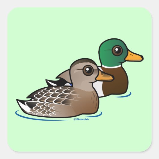 Mallard Pair Vierkante Sticker (Voorkant)