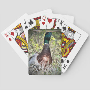 Mallard Pokerkaarten