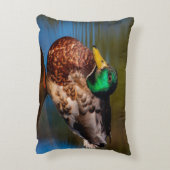 Mallard Portrait Accent Kussen (Achterkant (Verticaal))