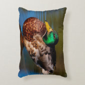 Mallard Portrait Accent Kussen (Voorkant(Verticaal))