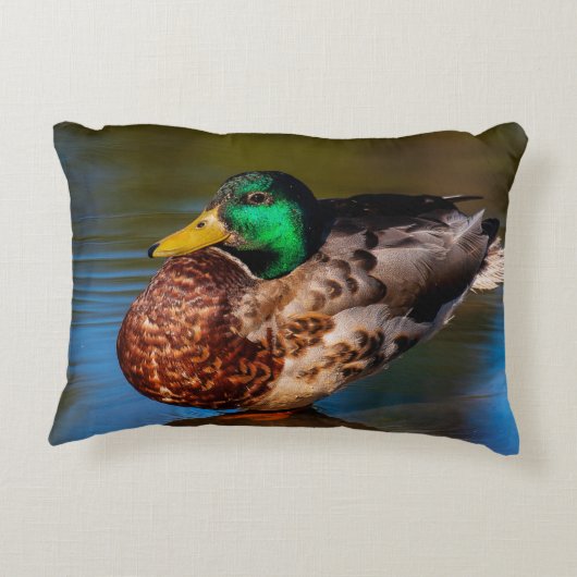 Mallard Portrait Accent Kussen (Achterkant)