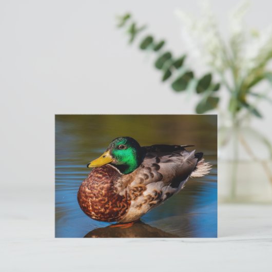 Mallard Portrait Briefkaart (Staand voorkant)