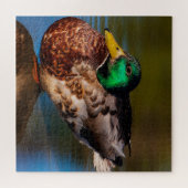 Mallard Portrait Legpuzzel (Horizontaal)