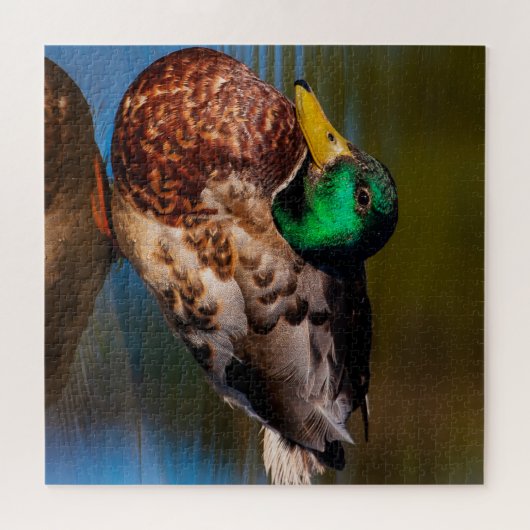 Mallard Portrait Legpuzzel (Horizontaal)