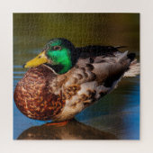 Mallard Portrait Legpuzzel (Verticaal)