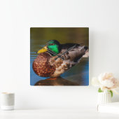Mallard Portrait Vierkante Klok (Huis)