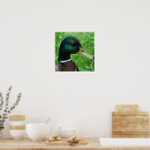 Mallard Poster (Keuken)