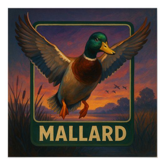 Mallard Poster (Voorkant)