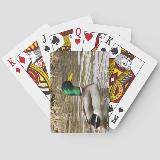 Mallard-speelkaarten Pokerkaarten (Achterkant)